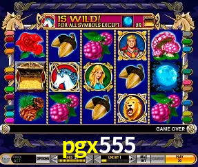 Descubra o Mundo do Cassino Online com pgx555